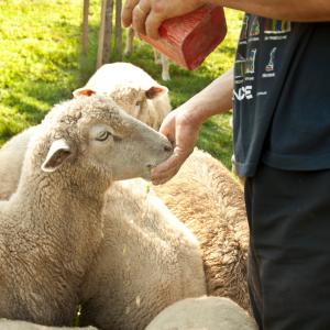 Pacotes turísticos promocionais